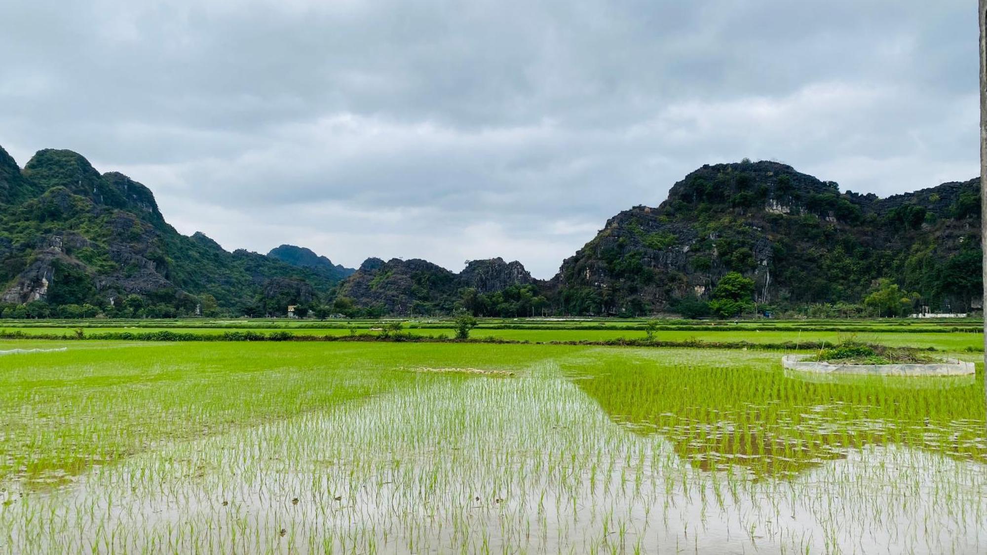Ohayo Tam Coc Homestay Ninh Bình Extérieur photo