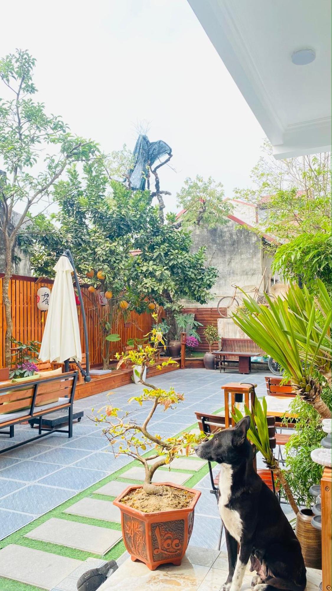 Ohayo Tam Coc Homestay Ninh Bình Extérieur photo